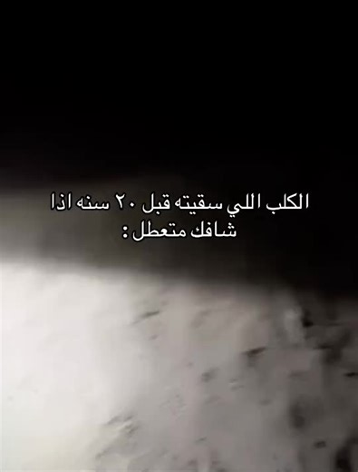 قصص كلاب ملهمة ومضحكة