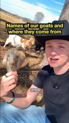 Names of our goats and why we named them!