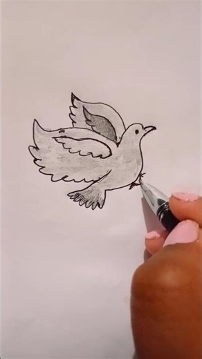 #drawing✍️#bird 🕊️