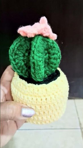 Cactus Planter #crochet #diy #crochettutorialforbeginners