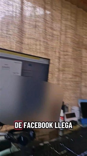 13K views · 1K reactions | Crear contenido paga dinero real que se puede intercambiar por productos y servicios 朗✌️ #fblifestyle #vidaenelbosque | Ecos del bosque | Facebook