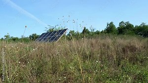 Free-standing Solar panels in the field, surrounded by grass and trees. Flowers in the foreground sway in the wind. Concept of eco-friendly lifestyle, green energy, carbon footprint reduce.