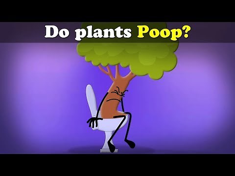 Do plants Poop? + more videos | #aumsum #kids #science #education #children