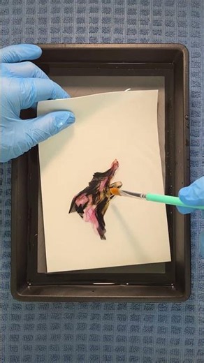 floral photography emulsion art #polaroidlift