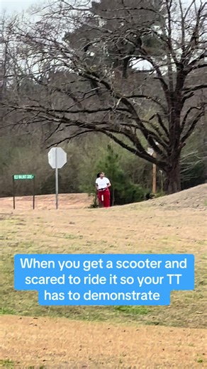 Discover Christmas Spirit in Mississippi: Family Fun Activities