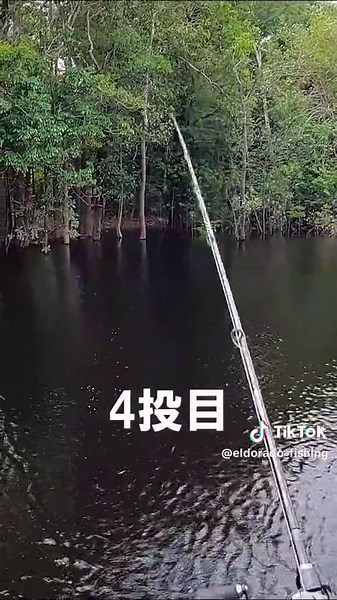 巨大魚の巣での釣り挑戦！