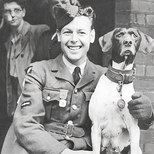 Strange But True: 40 Little-Known Facts That Defy Expectations