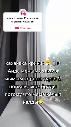 #ответ для @🤍мамочки🖤🇺🇦 ну что тт#apashka_ozi #р❤️е❤️к❤️о❤️м❤️е❤️н❤️д❤️а❤️ц❤️и❤️и #elbruso #rek #ттпустиврек #реккомендациии #on #переписка #fupシ