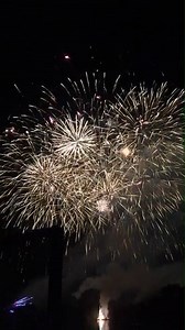 So, that's it! Our 2018 season has come to an end. Let's celebrate with a video of our amazing Best of British Fireworks Spectacular. https://www.draytonmanor.co.uk/ | Drayton Manor