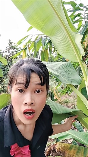 HAHAHA 🤣🤣🤣 so funny. She Was Too Busy on Her Phone… Then Oops! The Most Awkward Moment! #vanlaugh