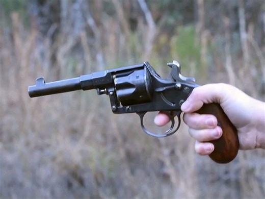 Reichsrevolver 1883