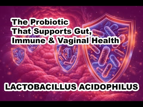 LACTOBACILLUS ACIDOPHILUS – The Probiotic That Supports Gut, Immune & Vaginal Health