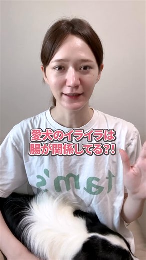 tam’s タムズ | おなかと皮膚のサプリメント on Instagram: "腸活は健康に良いだけじゃなく、イライラや不安、問題行動などに悩んでるワンちゃんにもおすすめです🐕🐾 今回は腸と脳の驚きの関係を解説しました🧠🍀 ============== お腹と皮膚のサプリメント【tam’sタムズ】 📢愛犬の皮膚・お腹のために開発 📢ハイライトにたくさんの口コミ🐶 📢初めての方は20%OFFでお試し可能✨ ============== #タムズ #犬 #皮膚 #犬の皮膚トラブル #犬の腸活 #乳酸菌 #犬のアトピー #ビフィズス菌 #酪酸菌 #オメガ3 #オメガ6 #tams #パラカゼイ #ケストース #犬のサプリメント #犬の食物アレルギー #犬のアレルギー #犬の皮膚病 #犬のカイカイ #犬の手作りご飯 #犬の下痢 #犬の便秘 #膿皮症 #犬の外耳炎 #ドッグフード #脂漏症 #フケ #犬の脱毛 #犬の皮膚炎"