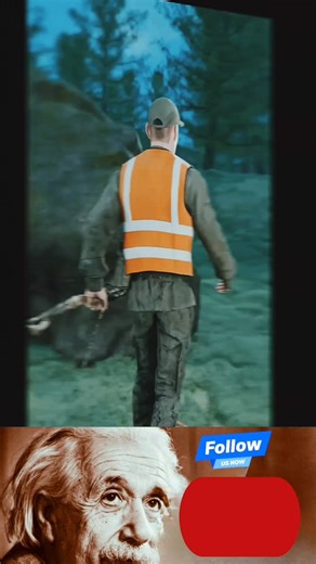 How to Escape A Bear 🐨 #physicseinsteinsigma #creatorsearchinsights #sigmaphysicsteacher #digitalcreator #trendingreel #followforfollowback | Physics Einstein Sigma