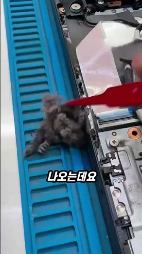 팬 먼지 제거로 노트북 소음 완전 해결