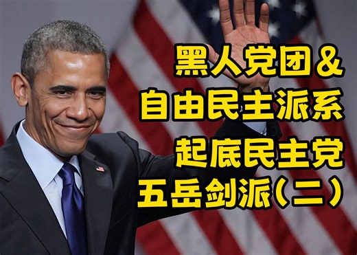 民权运动双生子 黑人党团&自由民主派：起底民主党五岳剑派（二）
