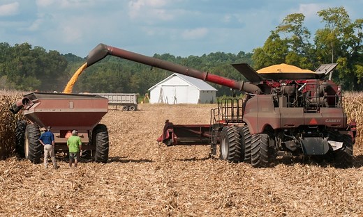 Agribusiness | College of Agricultural & Environmental Sciences