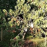 T3-R Triple High Impact Mice, Rat, Rodent Repeller