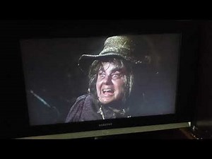 1st childhood scene from Pete's Dragon 1977