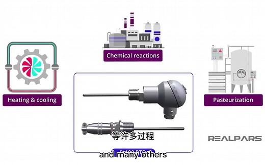 Pt100 电阻温度传感器