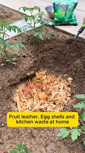 Turn kitchen waste into compost #gardenphotography #gardenlovers #gardenerslife #gardenart #gardenbeauty | Gardening Hacks