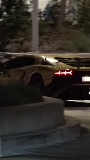 Gold Lambo gliding thru the night?! Then a YELLOW one in a tunnel?! 🤩 #Lamborghini #Aventador #Carsoftiktok #Supercars #DreamCars