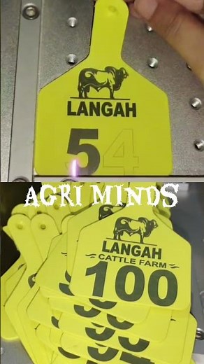 🎯 Premium Ear Z-Tags for Livestock Identification! 🐄🐑💪 Durable • Easy to Apply • Customizable