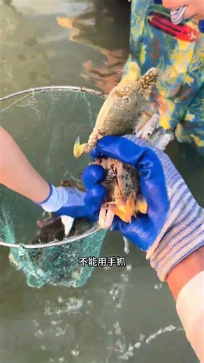 Never Go Beachcombing Again: Ultimate Guide to Choosing Your Beach