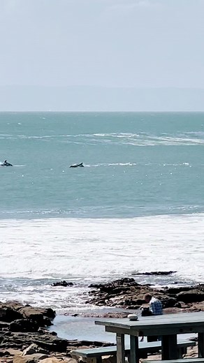 Exploring Mossel Bay: A Journey through South Africa's Garden Route