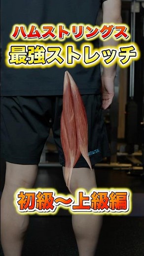 [Super Basic] This is how you stretch your hamstrings! #stretching #health #training