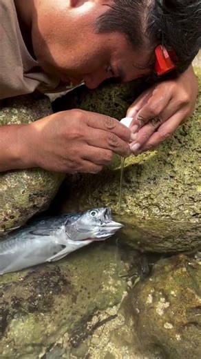 Real Fishing Hack 😲 | Catch Fish Without Hook
