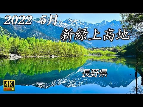 上高地 新緑 2022年5月下旬 北アルプス 穂高岳 河童橋 大正池 田代池 4K 自然映像 Northern Japanese Alps Kamikochi fresh green season.