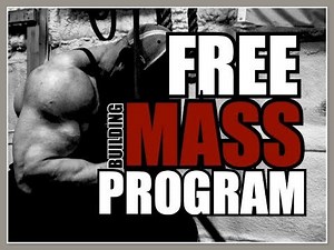 12 Week Mass Building Powerlifting Program - Brian Alsruhe (2026) - Lift Vault