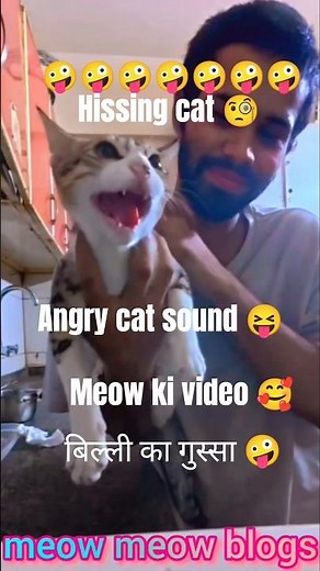 Hissing cat sound🐈! Angry cat😜! meow meow 😻#shorts #angrycat #shortsfeed ##youtubeshorts #trending