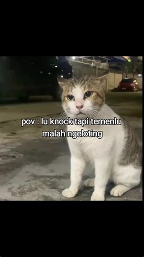 bng#fyp #jokesbapackbapack #jokes #meme #meme