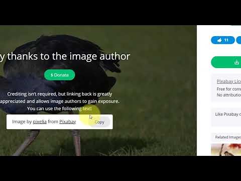 Pixabay Inhalte nutzen