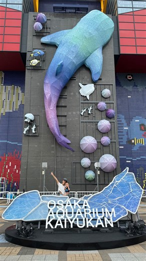 Risako T on Instagram: "Date on Saturday🦈♡ 海の生き物も大好きな息子と海遊館へ🐧 息子は初めての海遊館、私はもう記憶にないくらい久しぶり☺︎ 息子と一緒の時は待つ事が大変な事が多く🫠、極力入場までの待ち時間を避けるため到着前にwebで入場チケットを購入🎫 チケット売り場は行列で買っておいて良かったです🫶🏽 中はエスカレーターや階段があったので、外のベビーカー置き場にベビーカーは置いて身軽で🐟 お魚が大好きな息子のおかげで私も楽しみました♡ #海遊館 #momandson #mamalife #ママライフ #子連れおでかけ関西 #aquarium"