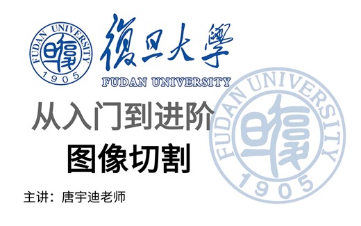 🔥3小时/天！从底层原理到实战全解析，图像分割新手速成攻略来啦！🚀（AI/深度学习/CV必看）