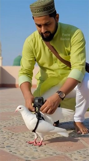 🕊️ Pigeon with GoPro Flying Over Masjid-e-Nabawi 🕌 #shorts
