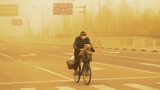 'It looks like the end of the world': China's worst sandstorm in a decade chokes Beijing
