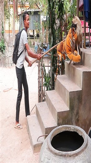 Fake Tiger P.ranks Sleeping Dog 2026 - Funny Dog Video | Adalyn Pro