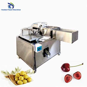 [Hot Item] Heavy-Duty 304 Stainless Steel Cherry Coring Machine for Efficient Pitting