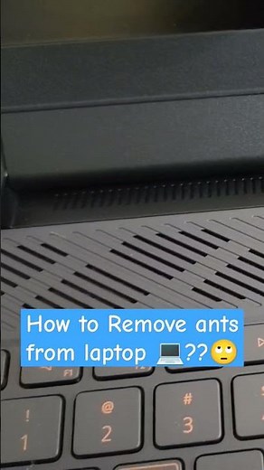 Ants🐜 🐜 🐜 are Attacking Mylaptop💻 How to remove ants from laptop🙄??#ants #laptop