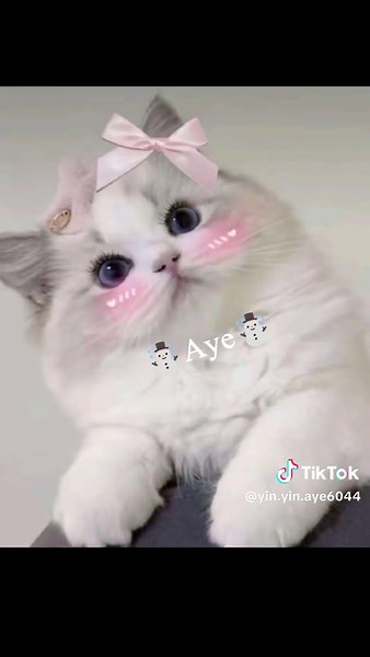 morningပါရှင့်☕🤗💕🌈 #ခင်ဗျာရဲ့idoလေးဖြစ်ချင်လို့😊 #ပင်လောင်းသူလေးပါရှင့်😜💓☘