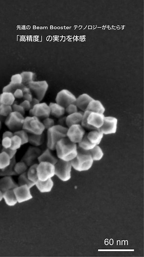 SEM（走査電子顕微鏡）の低加速電圧（Low kV）観察を次のレベルへ 📺無料ウェビナー（50分）で最新技術と応用事例をご確認ください | ZEISS Microscopy