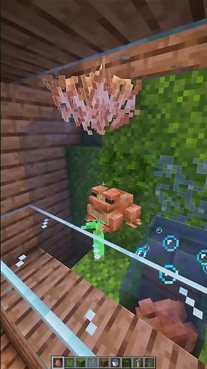 Minecraft Frog Terrarium🐸 #minecraft