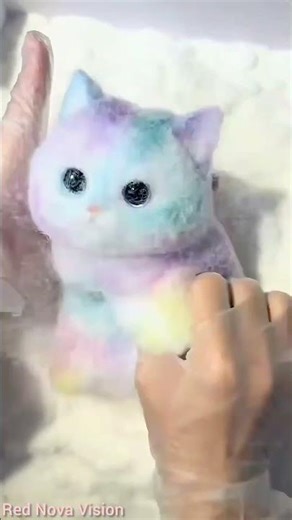 The Most Satisfying Rainbow Cat Ever 🌈🐱 #asmr #satisfying