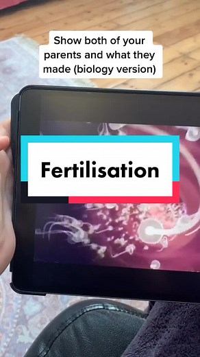 Biology TikTok Trend: Understanding Fertilisation Process