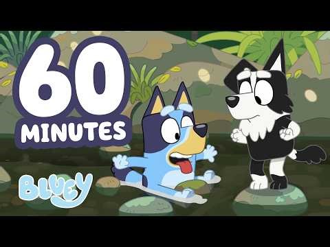 🔴LIVE: Bluey Slips! 😯 | The Creek + ONE HOUR Clips 💙 | Bluey