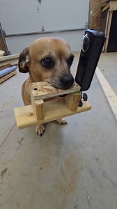 1.6M views · 48K reactions | Minion helps modify his camera Part 2 #narrowayhomestead #theoneandonlyminion #farmdog #camera #prototype #invention #modifications | Nate Petroski | Facebook